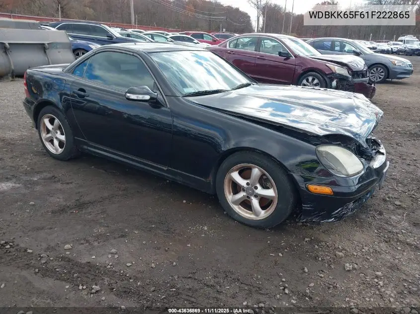 2001 Mercedes-Benz Slk 320 VIN: WDBKK65F61F222865 Lot: 43636869