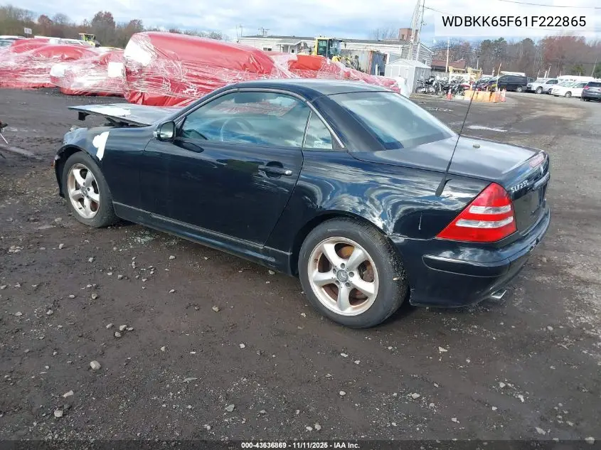 2001 Mercedes-Benz Slk 320 VIN: WDBKK65F61F222865 Lot: 43636869