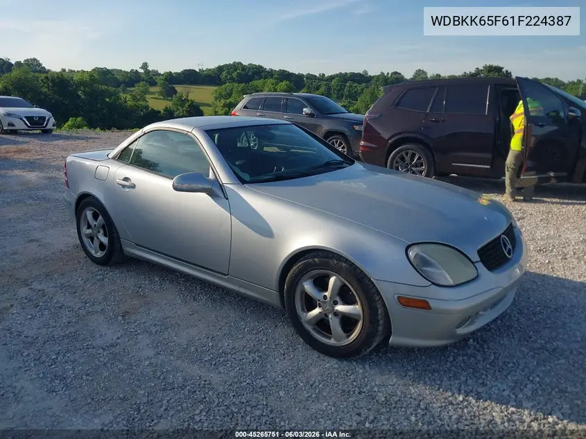 2001 Mercedes-Benz Slk 320 VIN: WDBKK65F61F224387 Lot: 45265751