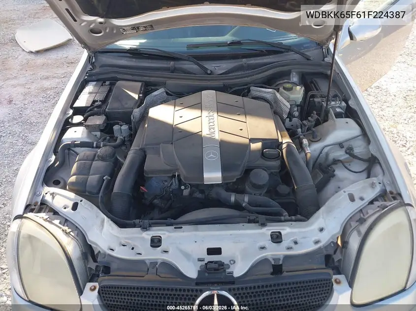 2001 Mercedes-Benz Slk 320 VIN: WDBKK65F61F224387 Lot: 45265751