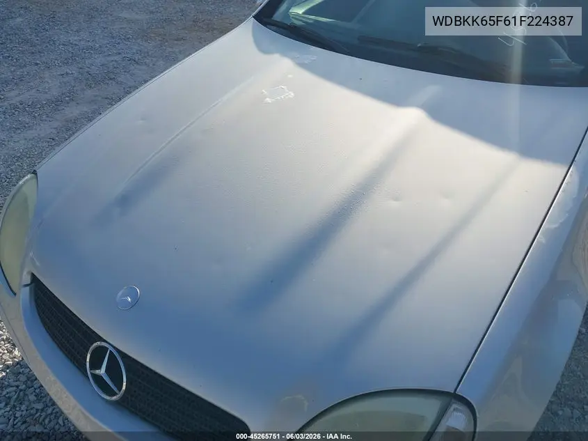 2001 Mercedes-Benz Slk 320 VIN: WDBKK65F61F224387 Lot: 45265751