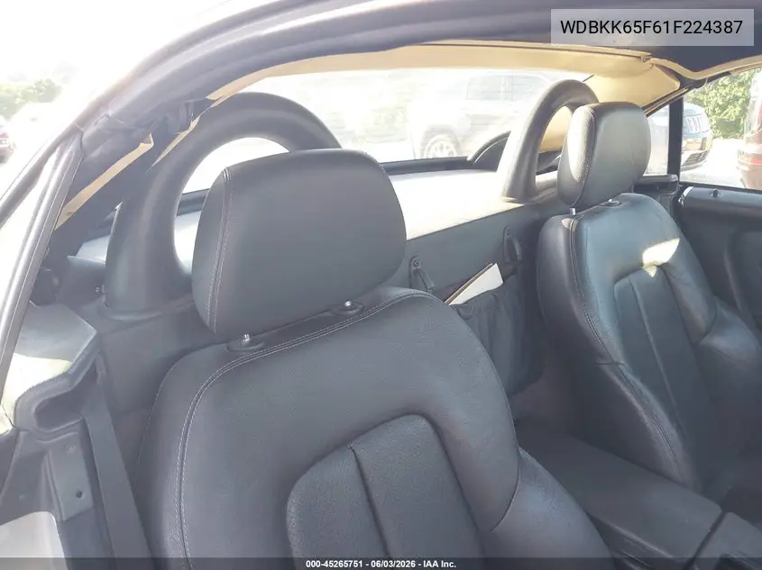 2001 Mercedes-Benz Slk 320 VIN: WDBKK65F61F224387 Lot: 45265751