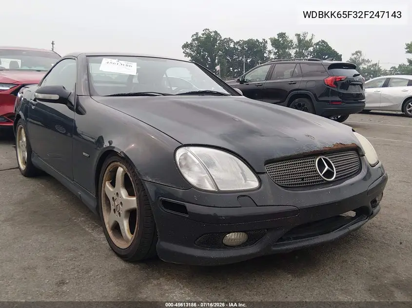 2002 Mercedes-Benz Slk 320 VIN: WDBKK65F32F247143 Lot: 45613186