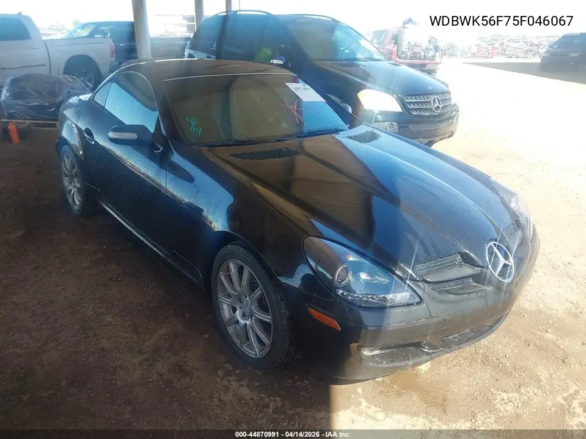 2005 Mercedes-Benz Slk 350 VIN: WDBWK56F75F046067 Lot: 44870991