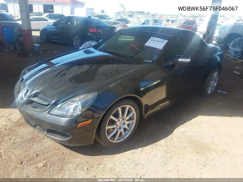 2005 Mercedes-Benz Slk 350 VIN: WDBWK56F75F046067 Lot: 44870991