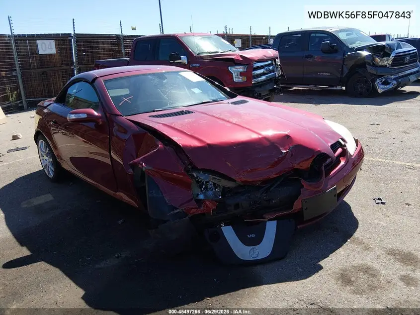 2005 Mercedes-Benz Slk 350 VIN: WDBWK56F85F047843 Lot: 45497266