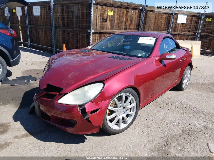 2005 Mercedes-Benz Slk 350 VIN: WDBWK56F85F047843 Lot: 45497266