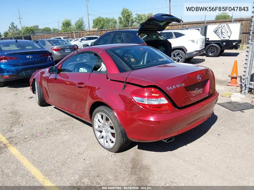 2005 Mercedes-Benz Slk 350 VIN: WDBWK56F85F047843 Lot: 45497266