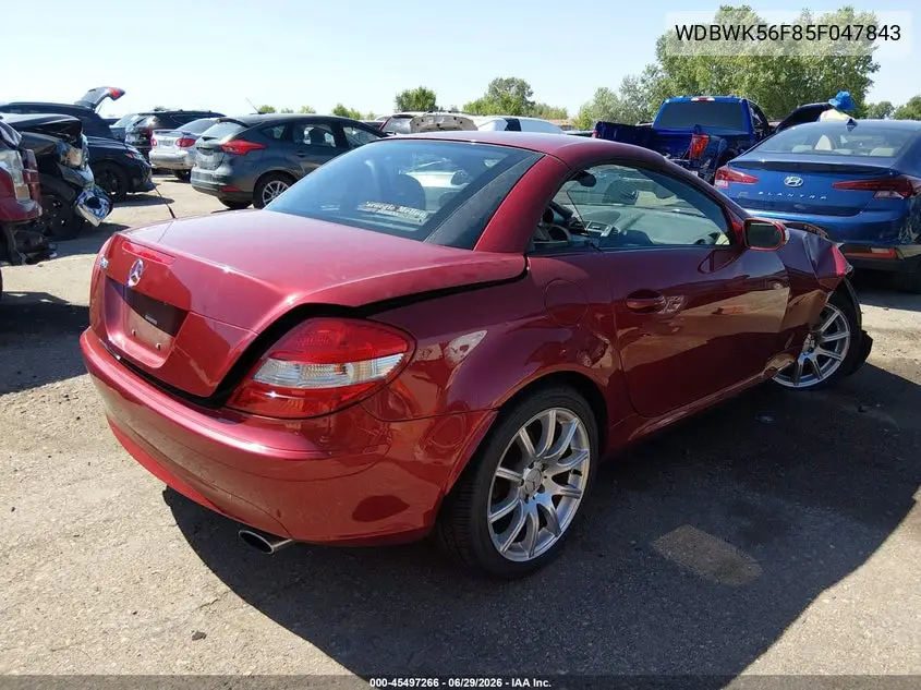 2005 Mercedes-Benz Slk 350 VIN: WDBWK56F85F047843 Lot: 45497266