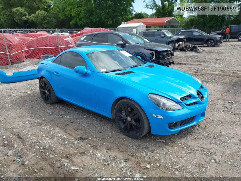 2009 Mercedes-Benz Slk350 VIN: WDBWK58F19F190569 Lot: 45101659