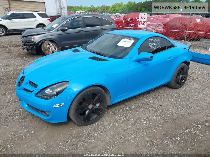 2009 Mercedes-Benz Slk350 VIN: WDBWK58F19F190569 Lot: 45101659