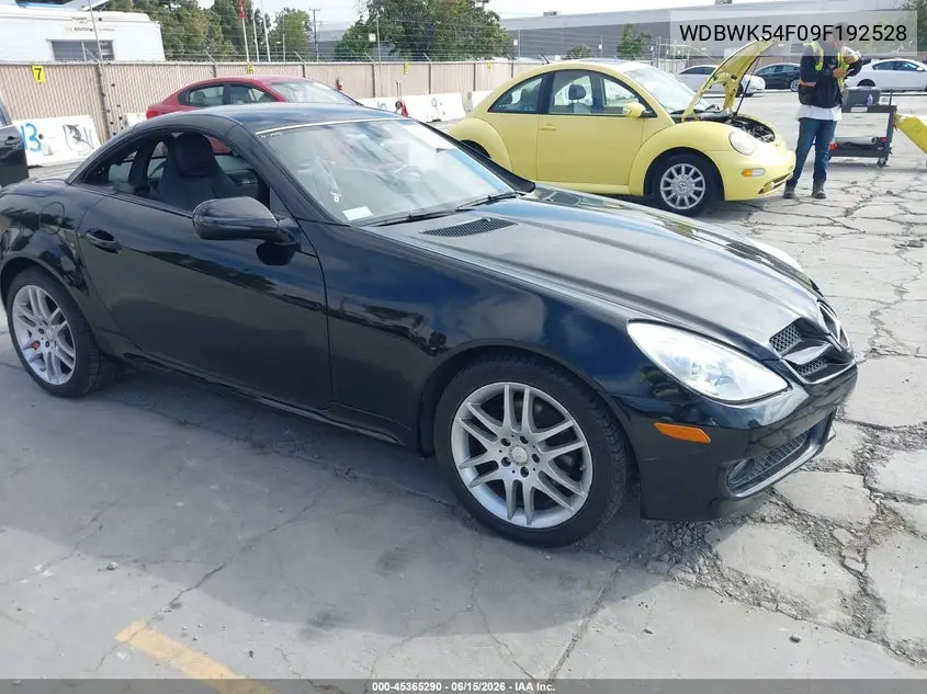 2009 Mercedes-Benz Slk 300 VIN: WDBWK54F09F192528 Lot: 45365290