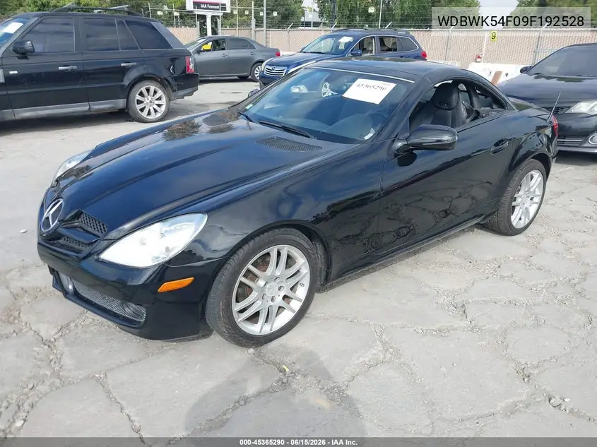 2009 Mercedes-Benz Slk 300 VIN: WDBWK54F09F192528 Lot: 45365290