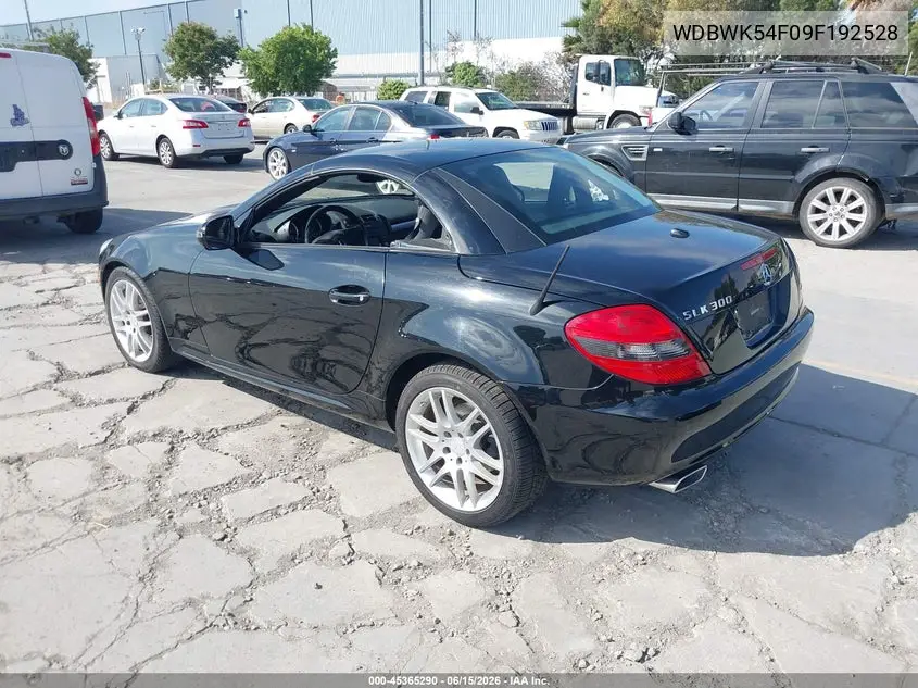 2009 Mercedes-Benz Slk 300 VIN: WDBWK54F09F192528 Lot: 45365290