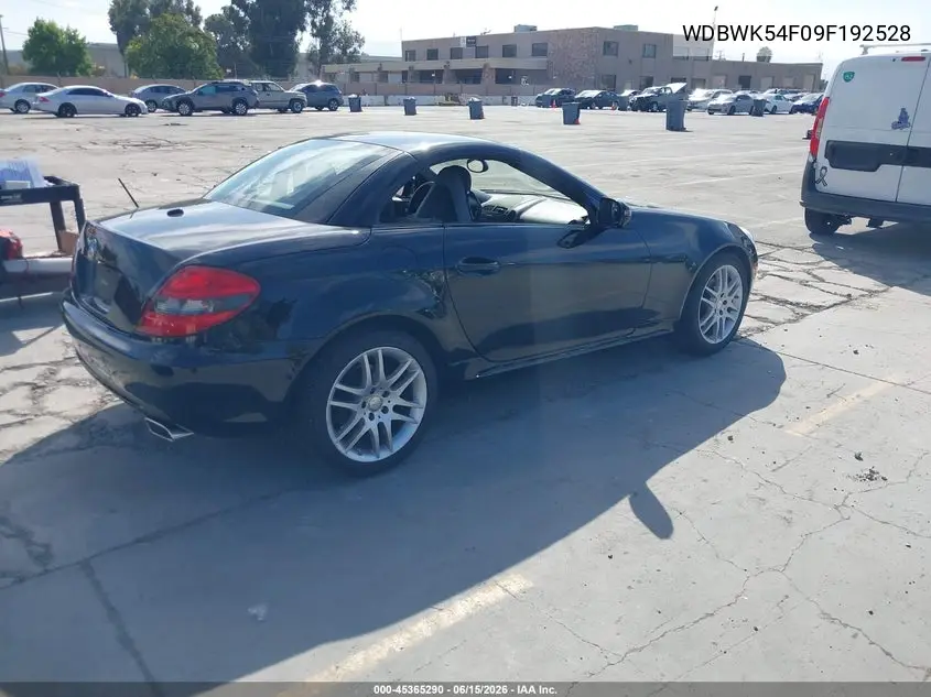 2009 Mercedes-Benz Slk 300 VIN: WDBWK54F09F192528 Lot: 45365290