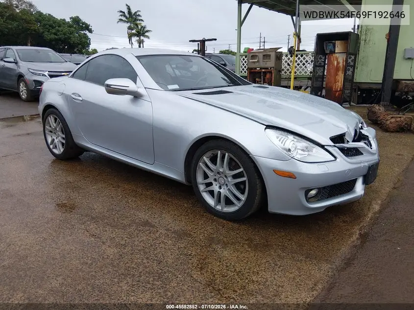 2009 Mercedes-Benz Slk 300 VIN: WDBWK54F69F192646 Lot: 45582852