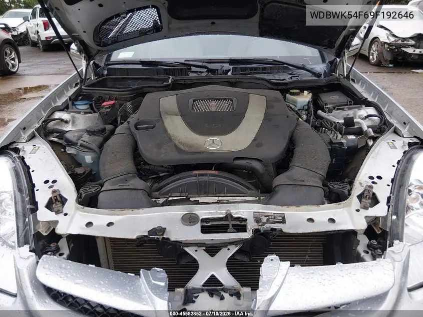 2009 Mercedes-Benz Slk 300 VIN: WDBWK54F69F192646 Lot: 45582852