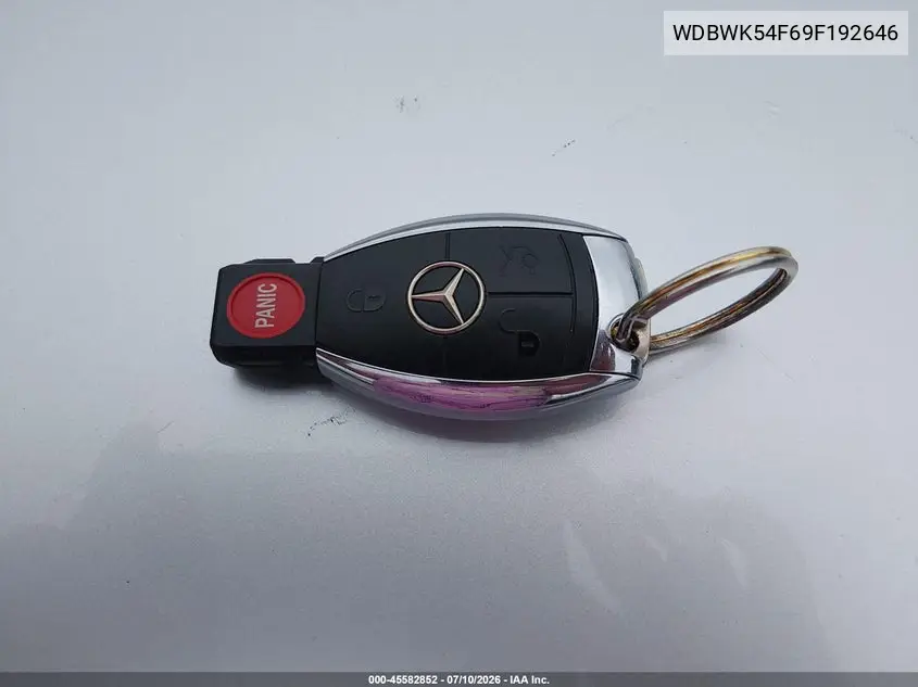 2009 Mercedes-Benz Slk 300 VIN: WDBWK54F69F192646 Lot: 45582852