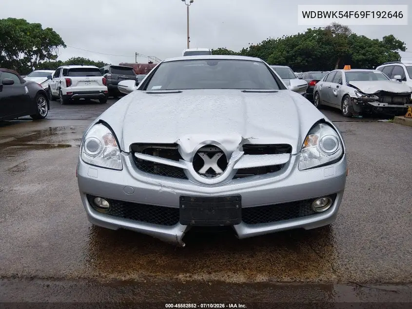 2009 Mercedes-Benz Slk 300 VIN: WDBWK54F69F192646 Lot: 45582852