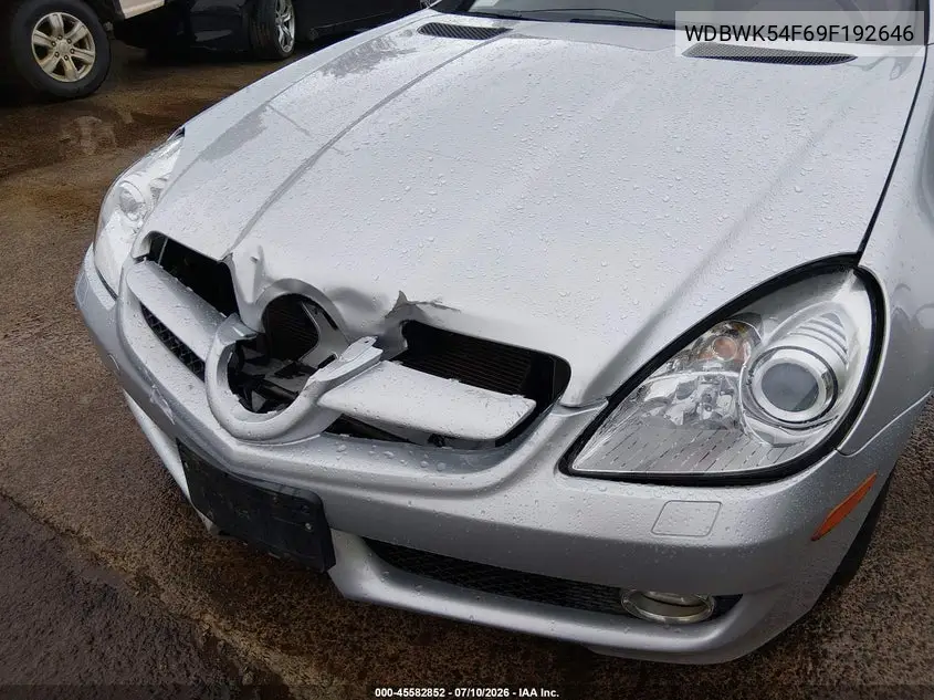 2009 Mercedes-Benz Slk 300 VIN: WDBWK54F69F192646 Lot: 45582852