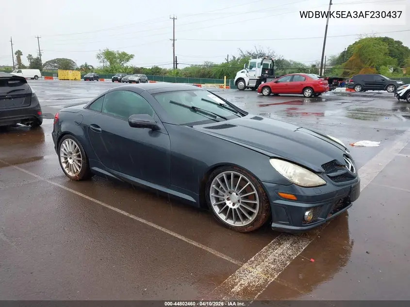2010 Mercedes-Benz Slk 300 VIN: WDBWK5EA3AF230437 Lot: 44802460