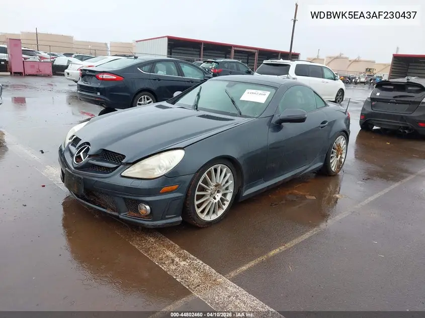 2010 Mercedes-Benz Slk 300 VIN: WDBWK5EA3AF230437 Lot: 44802460