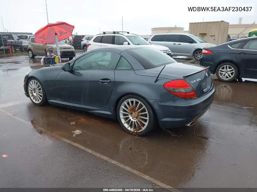 2010 Mercedes-Benz Slk 300 VIN: WDBWK5EA3AF230437 Lot: 44802460