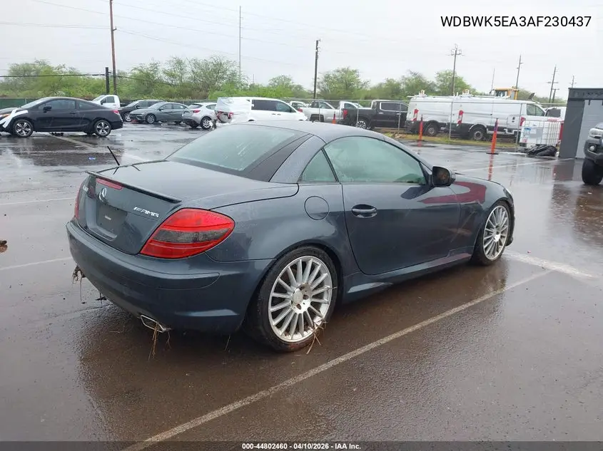 2010 Mercedes-Benz Slk 300 VIN: WDBWK5EA3AF230437 Lot: 44802460