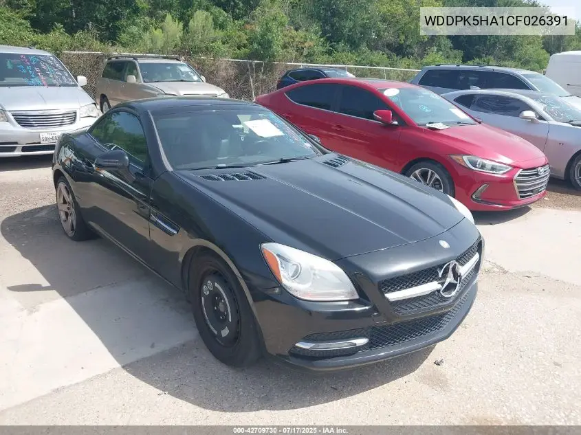 2012 Mercedes-Benz Slk 350 VIN: WDDPK5HA1CF026391 Lot: 42709730