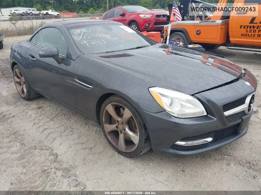 2012 Mercedes-Benz Slk 350 VIN: WDDPK5HA0CF009243 Lot: 45395871