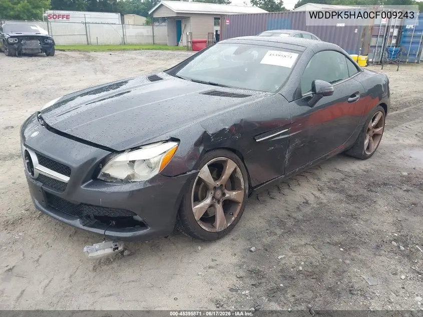 2012 Mercedes-Benz Slk 350 VIN: WDDPK5HA0CF009243 Lot: 45395871