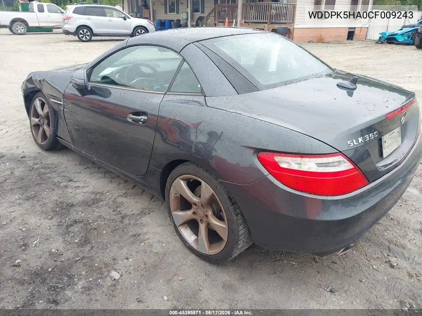 2012 Mercedes-Benz Slk 350 VIN: WDDPK5HA0CF009243 Lot: 45395871
