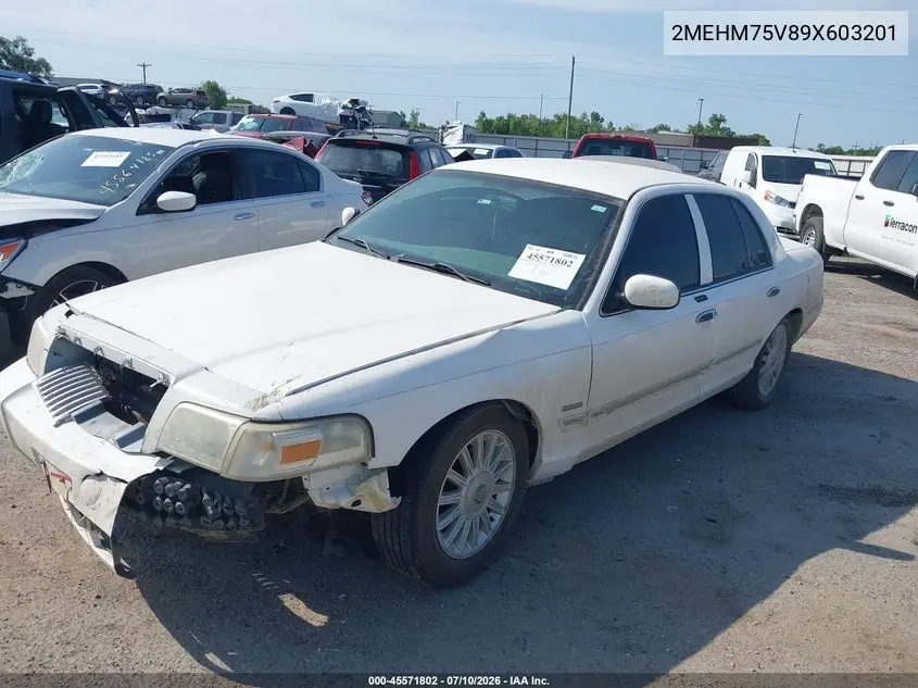 2009 Mercury Grand Marquis Ls (Fleet Only) VIN: 2MEHM75V89X603201 Lot: 45571802