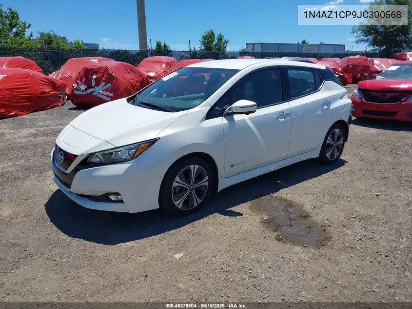 2018 Nissan Leaf Sl VIN: 1N4AZ1CP9JC300568 Lot: 45379804