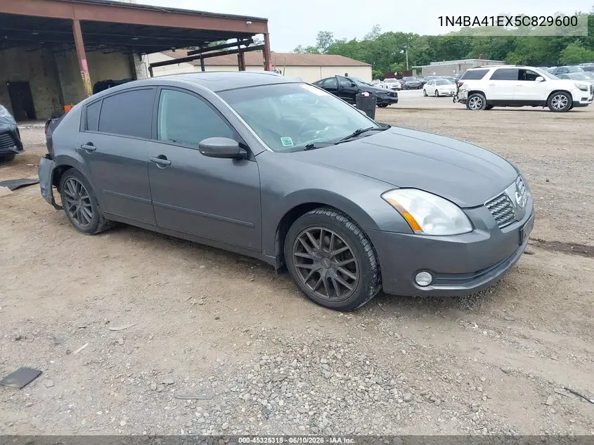 2005 Nissan Maxima 3.5 Sl VIN: 1N4BA41EX5C829600 Lot: 45325318