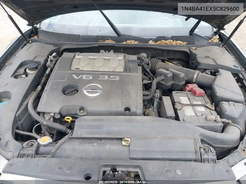 2005 Nissan Maxima 3.5 Sl VIN: 1N4BA41EX5C829600 Lot: 45325318