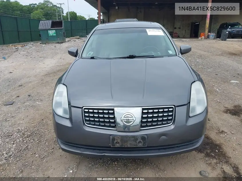 2005 Nissan Maxima 3.5 Sl VIN: 1N4BA41EX5C829600 Lot: 45325318