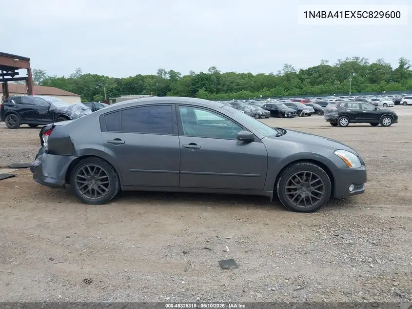 2005 Nissan Maxima 3.5 Sl VIN: 1N4BA41EX5C829600 Lot: 45325318