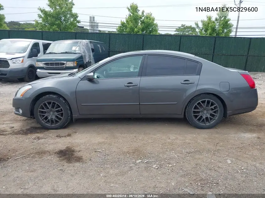 2005 Nissan Maxima 3.5 Sl VIN: 1N4BA41EX5C829600 Lot: 45325318