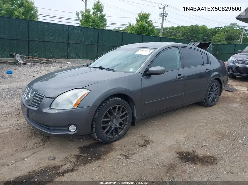 2005 Nissan Maxima 3.5 Sl VIN: 1N4BA41EX5C829600 Lot: 45325318