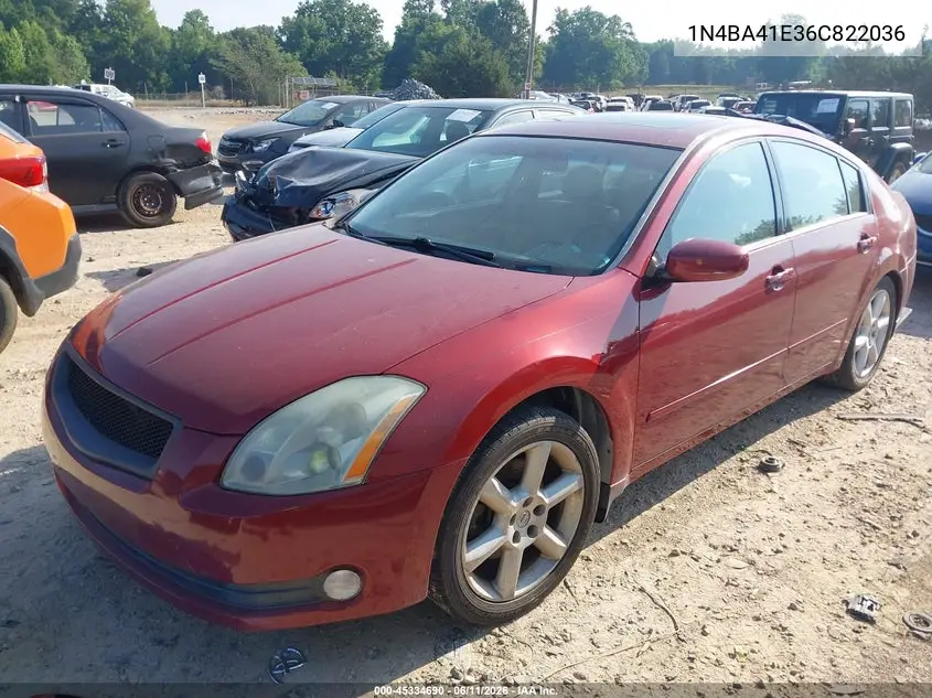2006 Nissan Maxima 3.5 Se VIN: 1N4BA41E36C822036 Lot: 45334690