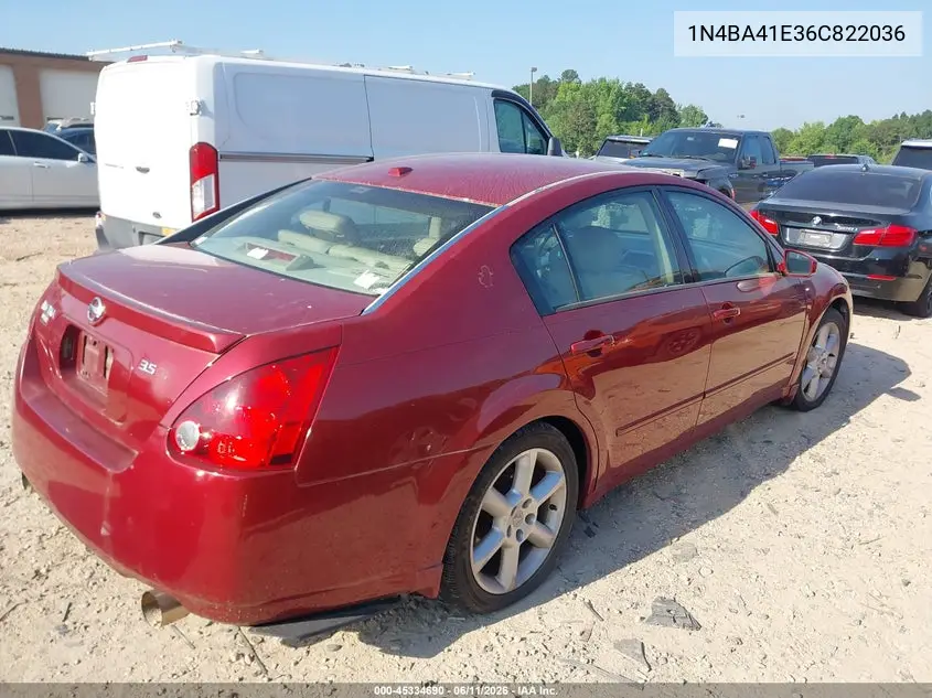 2006 Nissan Maxima 3.5 Se VIN: 1N4BA41E36C822036 Lot: 45334690