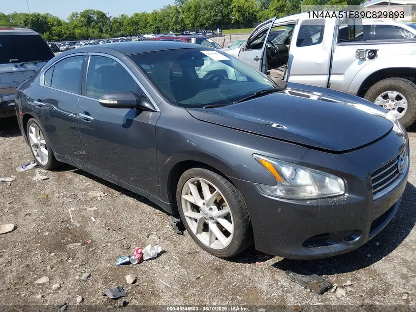 2009 Nissan Maxima 3.5 Sv VIN: 1N4AA51E89C829893 Lot: 45346603