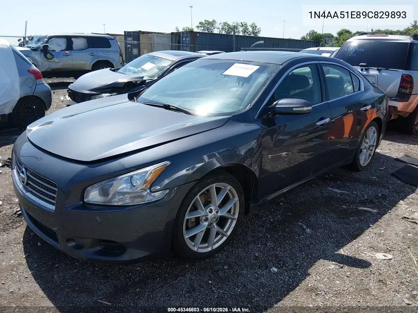 2009 Nissan Maxima 3.5 Sv VIN: 1N4AA51E89C829893 Lot: 45346603