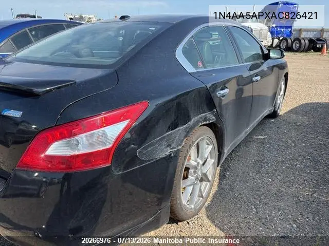 2010 Nissan Maxima 3.5 Sv VIN: 1N4AA5APXAC826421 Lot: 20266976