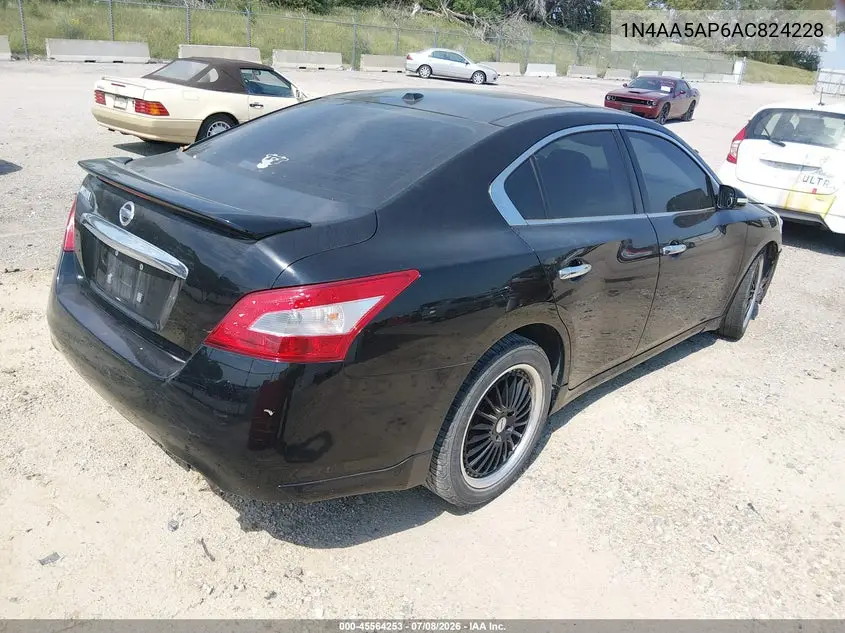 2010 Nissan Maxima 3.5 Sv VIN: 1N4AA5AP6AC824228 Lot: 45564253