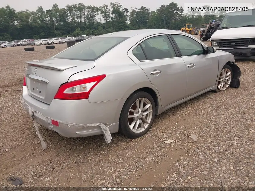 2010 Nissan Maxima 3.5 Sv VIN: 1N4AA5AP0AC828405 Lot: 45634246
