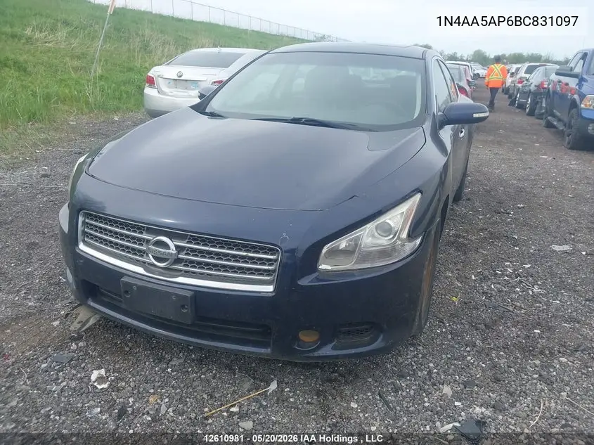 2011 Nissan Maxima 3.5 S VIN: 1N4AA5AP6BC831097 Lot: 12610981