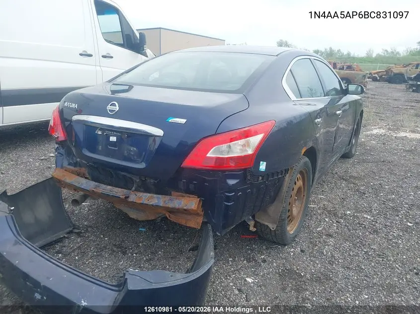 2011 Nissan Maxima 3.5 S VIN: 1N4AA5AP6BC831097 Lot: 12610981
