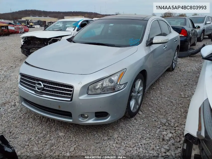 1N4AA5AP4BC803993 2011 Nissan Maxima 3.5 Sv